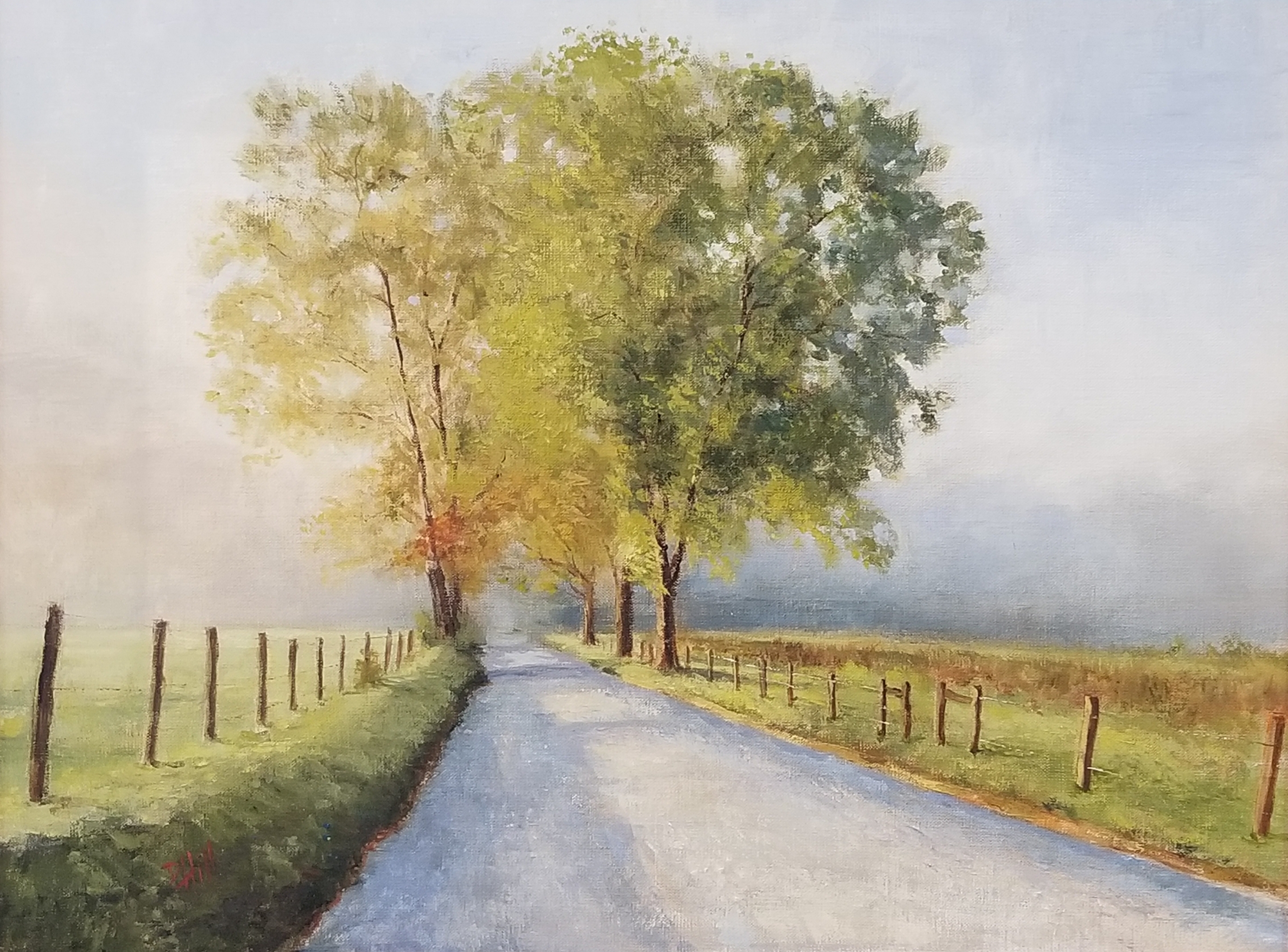 "Sunrise in Cades Cove" by Don Hill.