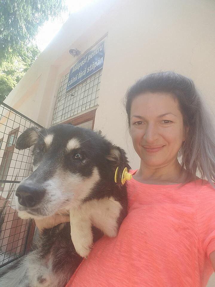 Georgiana Neagu of Fagaras, Romania, has rescued hundreds of dogs through her nonprofit SOS Arms. Two locals are hosting a dinner to help aid her efforts. (Contributed photo)