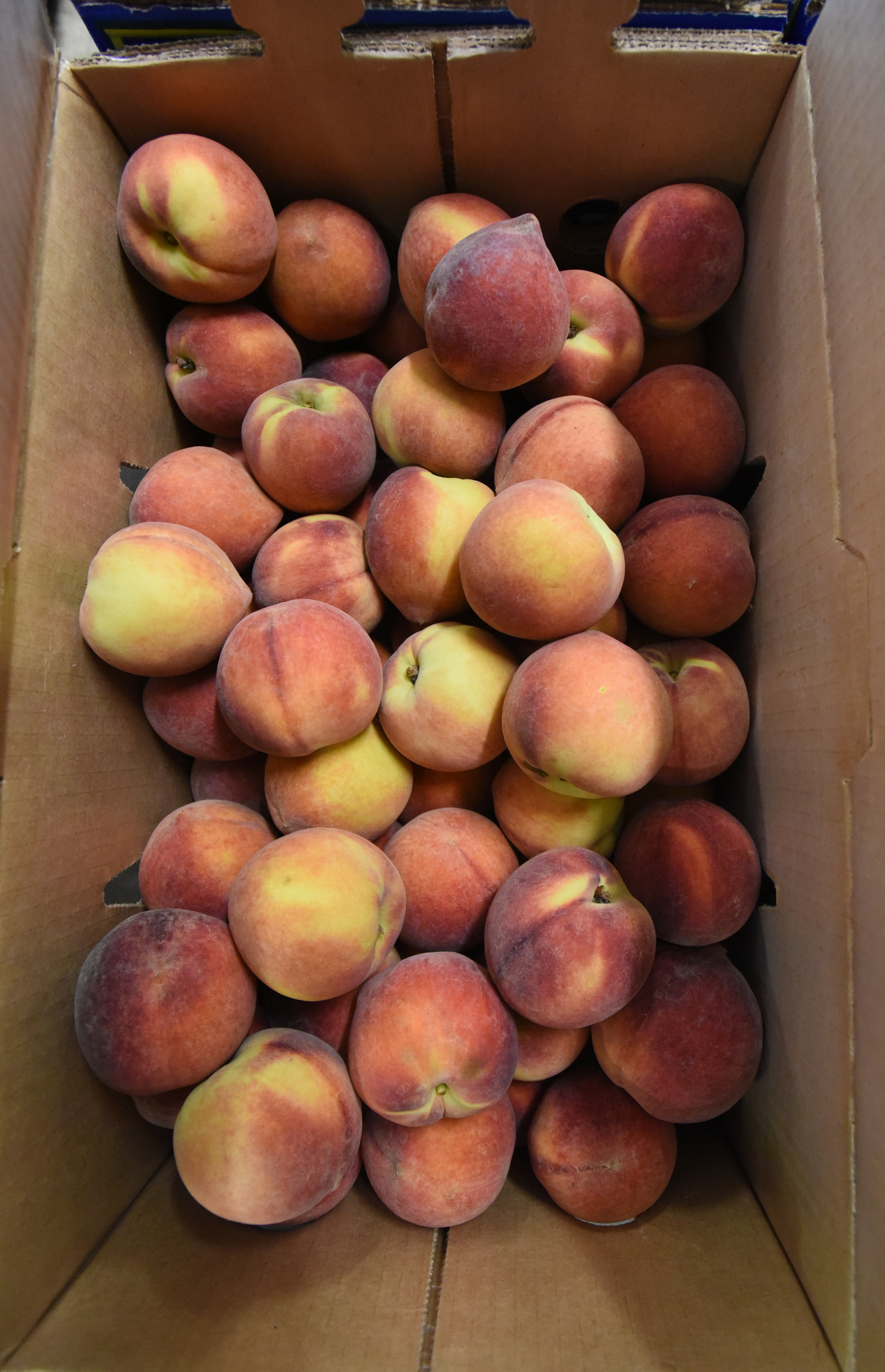 Peaches fill a box at East Ridge Hardware Friday, July 8, 2016.