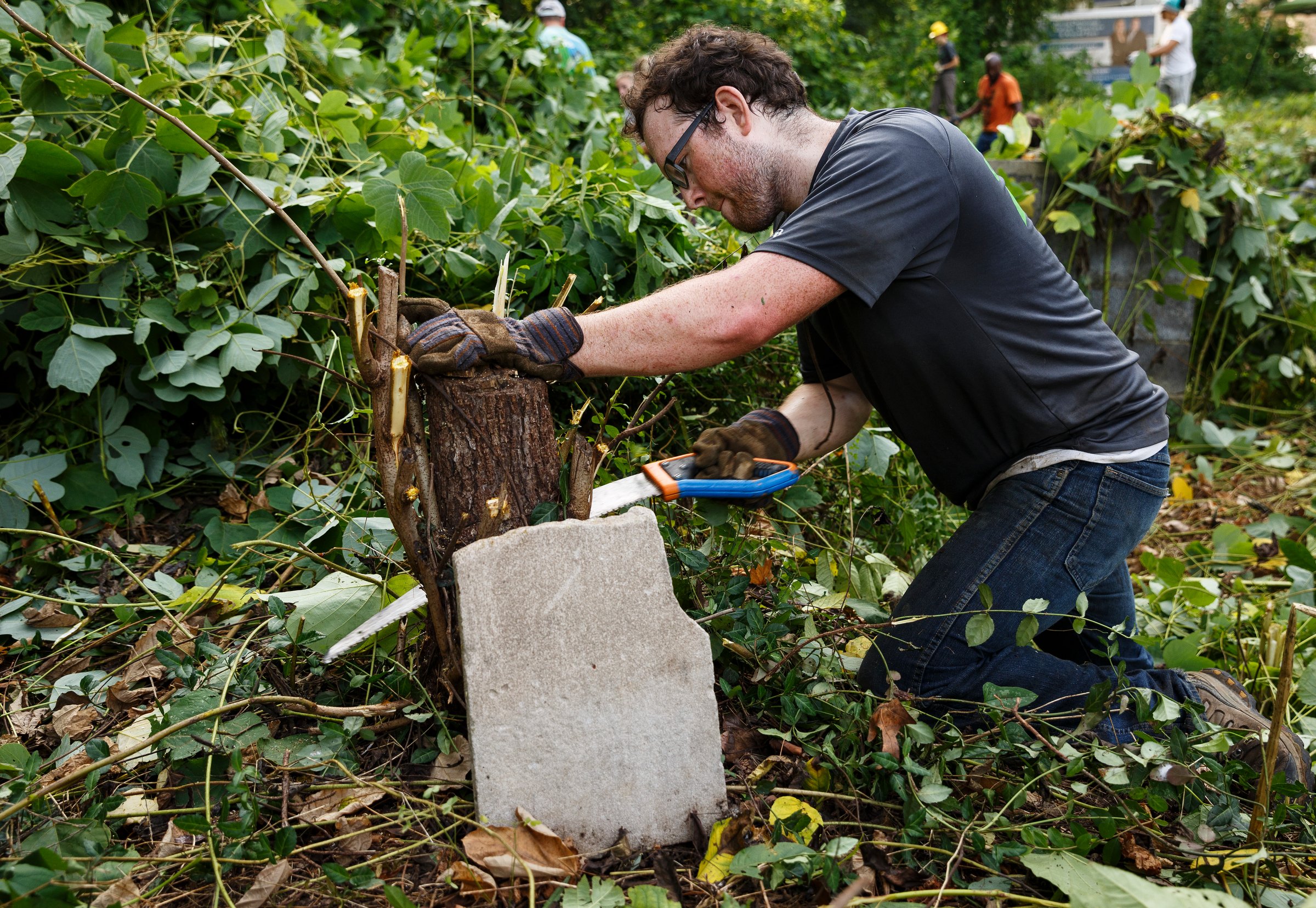 Clay Carney cuts a stump growing next to a grave marker during a cleanup of the North Shore's historic Beck Knob Cemetery on Saturday, July 28, 2018, in Chattanooga, Tenn. Volunteers worked through the morning to clear growth from the century-old cemetery for African Americans, which was established by landowner Joshua Beck in the late 1800s and was active into the 1940s. The cemetery was rediscovered in 2015 by contractors constructing homes on Dartmouth Street for developer Green Tech Homes.
