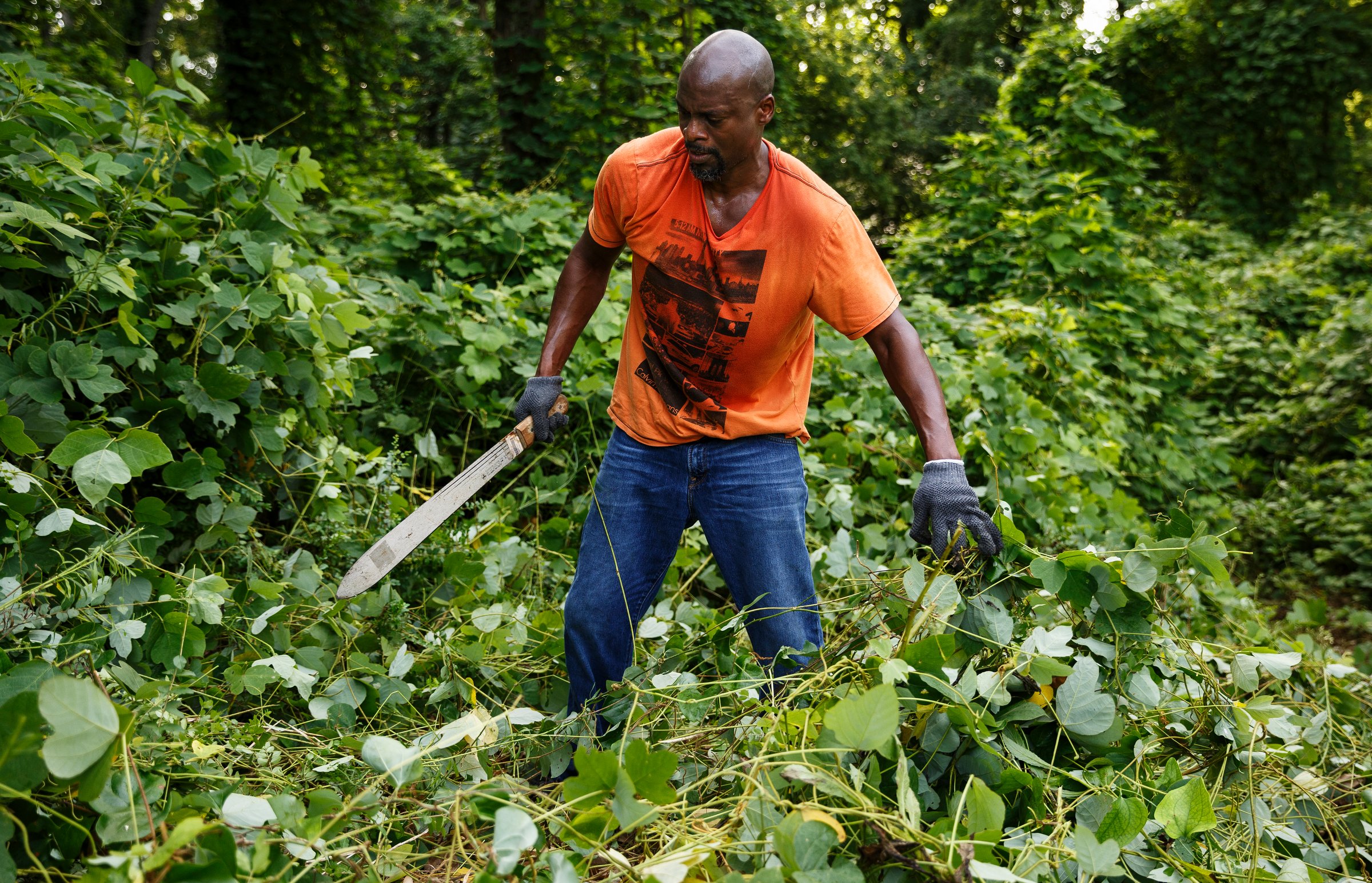 Wade Hinton uses a machete to clear kudzu during a cleanup of the North Shore's historic Beck Knob Cemetery on Saturday, July 28, 2018, in Chattanooga, Tenn. Volunteers worked through the morning to clear growth from the century-old cemetery for African Americans, which was established by landowner Joshua Beck in the late 1800s and was active into the 1940s. The cemetery was rediscovered in 2015 by contractors constructing homes on Dartmouth Street for developer Green Tech Homes.