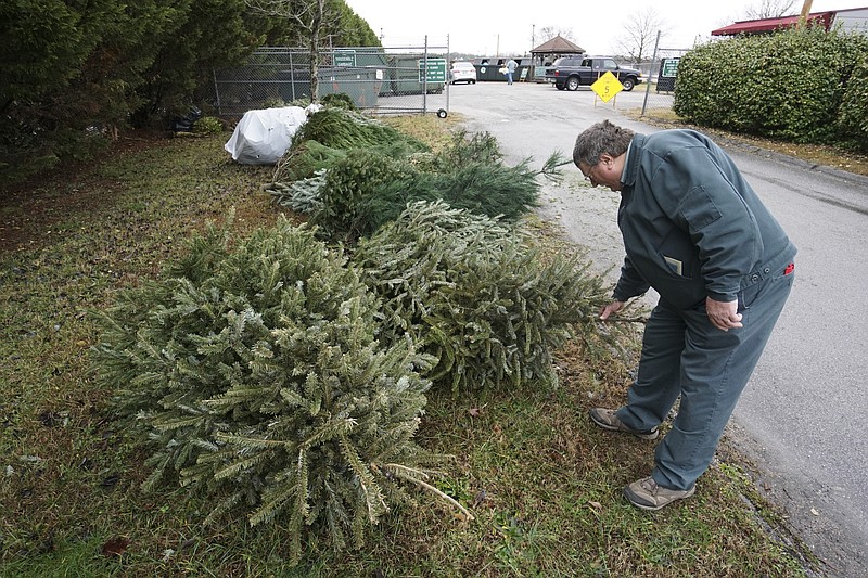 Here's where to recycle your Christmas tree in Chattanooga, Hamilton