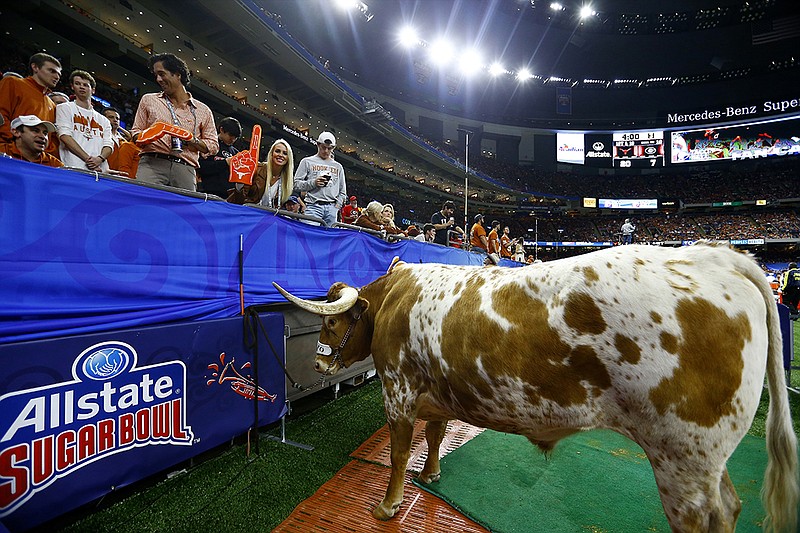 Bevo, the Texas mascot, stands near the stands during the second half of the Sugar Bowl NCAA college football game between Texas and Georgia in New Orleans, Tuesday, Jan. 1, 2019. (AP Photo/Butch Dill)

