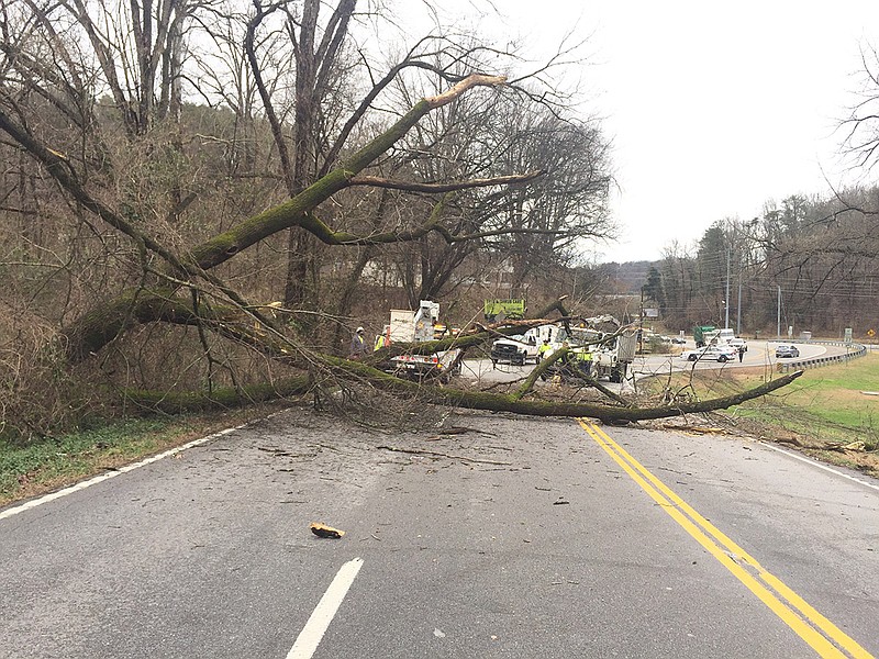 Photos: Fallen tree blocks traffic on Signal Mountain Road ...