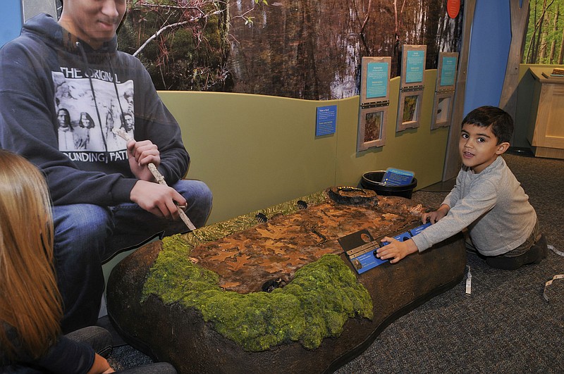 Children visiting the "Native Voices" exhibit can search for animal species in a vernal pool (shown), and try basket weaving and stamping activities. / Photo by Clive Grainger