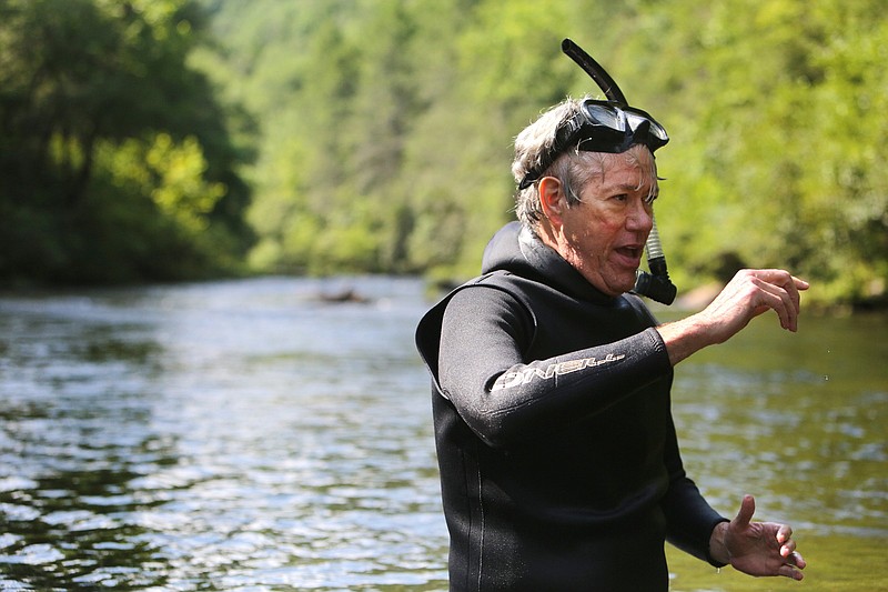 Staff file photo by Erin O. Smith / Bernie Kuhajda, a biologist with the Tennessee Aquarium, talks about the fish and other life seen in the water Thursday, July 19, 2018 at the Conasauga Snorkeling hole in Polk County, Tennessee.