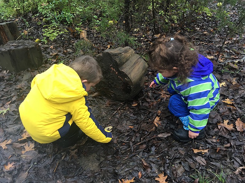 Wauhatchie School forest kindergarten students engage in exploratory play at the school's main campus at Reflection Riding Nature Center and Arboretum. A satellite campus offering a forest preschool program is opening at Audubon Acres this fall.