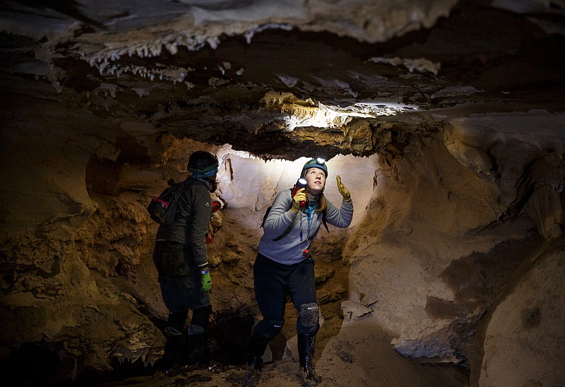 Emily Ferrall, right, and Pallavi Sirajuddin with Georgia DNR search for bats in Frick's Cave on Saturday, Feb. 9, 2019, in Chickamauga, Ga. The cave is home to rare gray bats and is opened to visitors by Southeastern Cave Conservancy, Inc., just one day each year. Researchers with the Georgia Department of Natural Resources use the opportunity to survey the cave's winter bat populations and take cultures from bats suffering from white-nose syndrome.