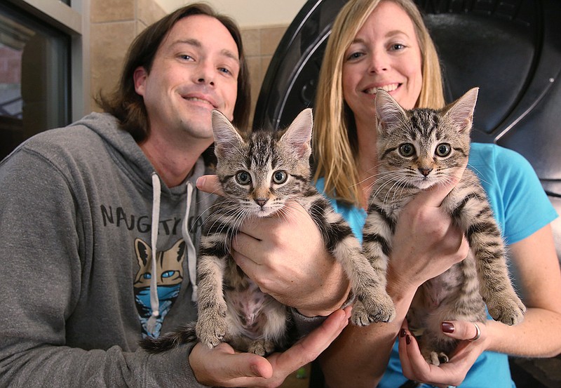 Heath Hanson and Whitney Sickels have fostered more than 80 kittens.