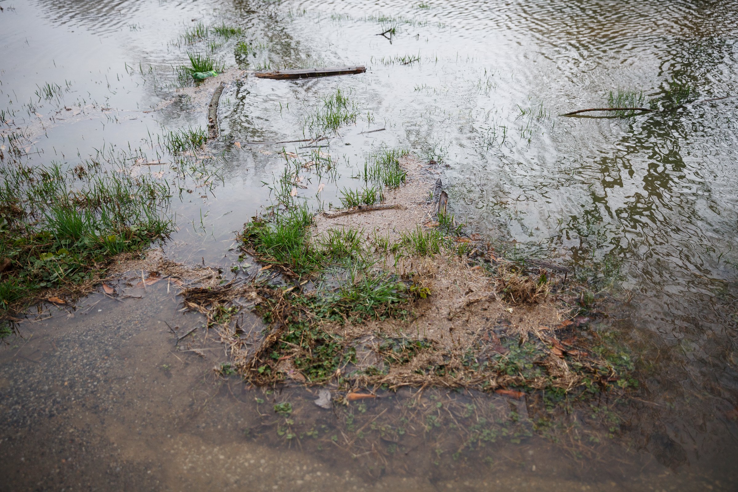 Floodwaters rise near Aster Road in Lookout Valley after heavy rainfall on Wednesday, Feb. 20, 2019, in Chattanooga, Tenn. Continuous rain through the week has raised area waterways to flood stages, with more rain expected in the coming days.
