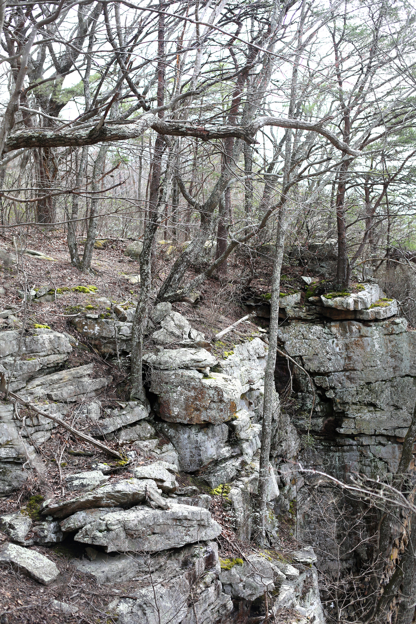 Bluffs are seen in the Bridgestone/Firestone Centennial Wilderness Wildlife Management Area Tuesday, March 12, 2019 in Sparta, Tennessee. Wilderness areas have stricter guidelines on land usage than many other public lands.