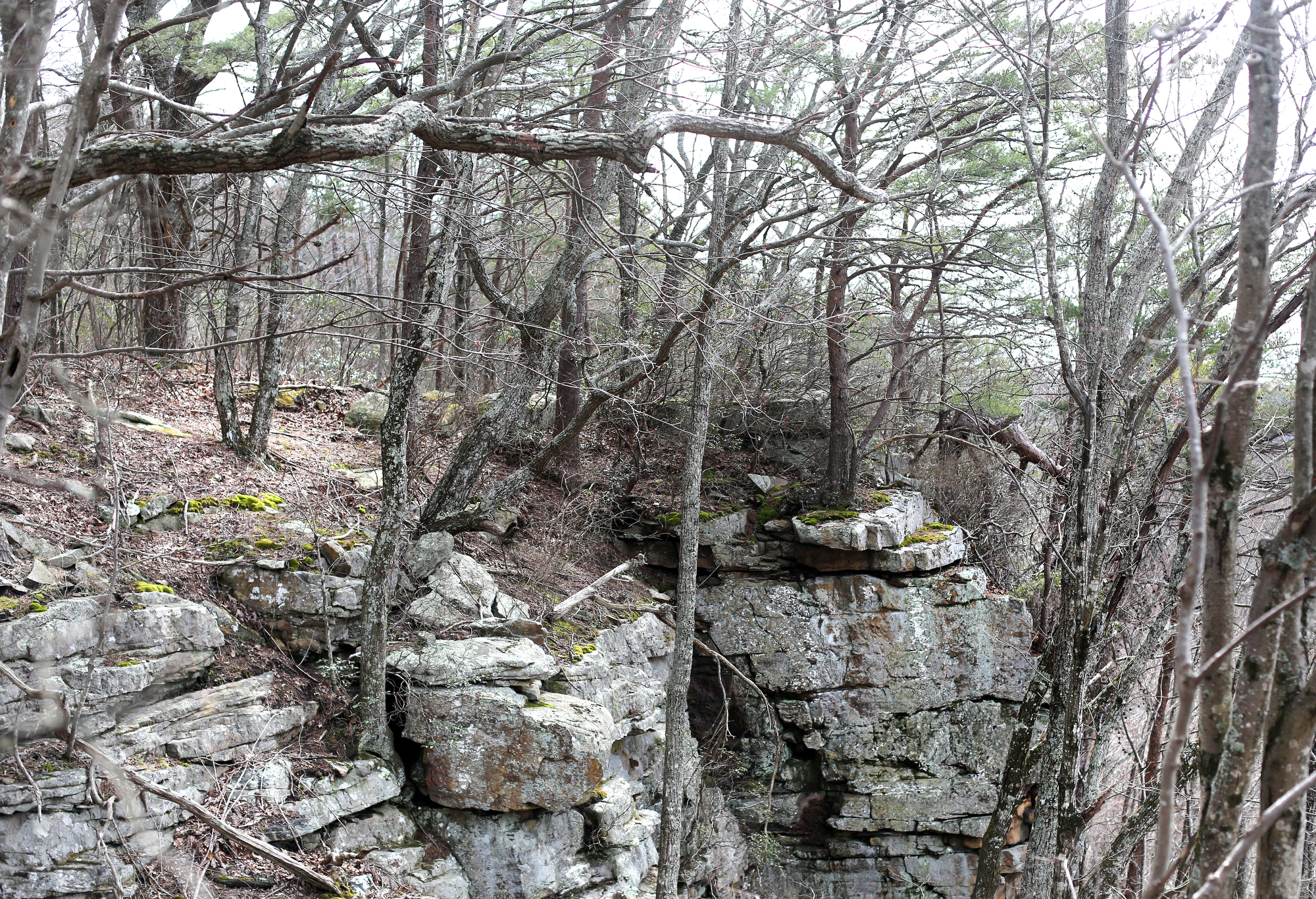 Bluffs are seen in the Bridgestone/Firestone Centennial Wilderness Wildlife Management Area Tuesday, March 12, 2019 in Sparta, Tennessee. Wilderness areas have stricter guidelines on land usage than many other public lands.