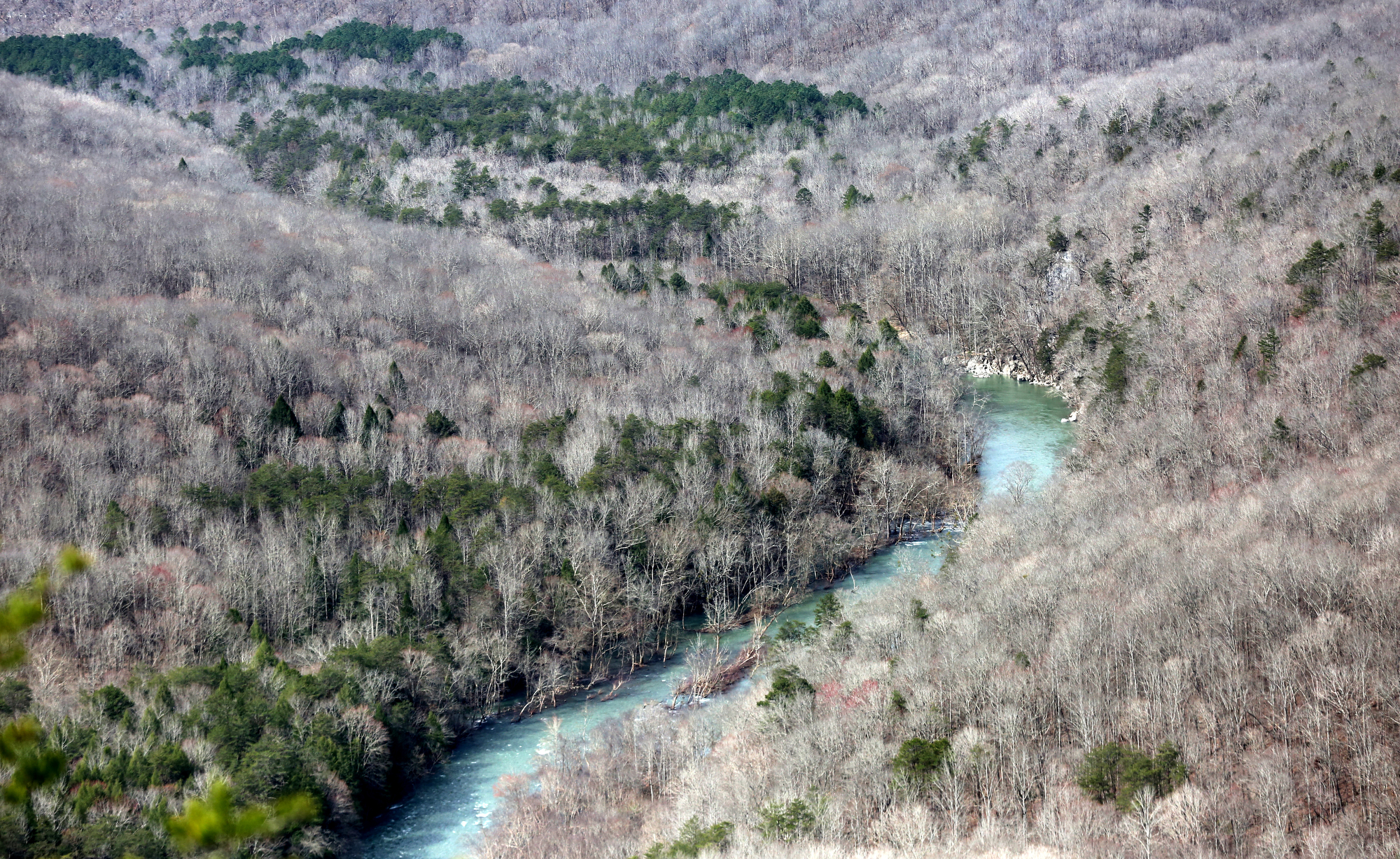 Big Laurel Creek is seen from Welch's Point Tuesday, March 12, 2019 from the Bridgestone/Firestone Centennial Wilderness Wildlife Management Area in Sparta, Tennessee.
