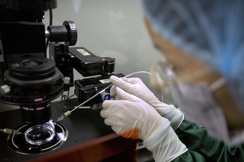 FILE - In this Oct. 9, 2018 file photo, a researcher installs a fine glass pipette into a microscope in preparation for injecting embryos with Cas9 protein and PCSK9 sgRNA at a lab in Shenzhen in southern China's Guandong province. On Tuesday, March 19, 2019, an expert committee convened by the World Health Organization is calling for the U.N. health agency to create a global registry of scientists working on gene editing. (AP Photo/Mark Schiefelbein, File)

