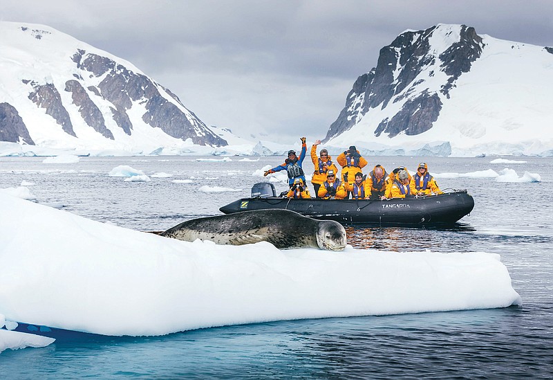 Get up close to Antarctic wildlife on a Quark Expeditions cruise.