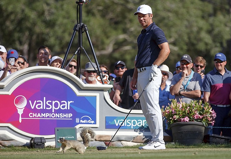 Paul Casey waits to start at the 14th holle at Innisbrook Resort & Golf Club's Copperhead Course as a squirrel runs around the tee box during the final round of the Valspar Championship on Sunday in Palm Harbor, Fla.
