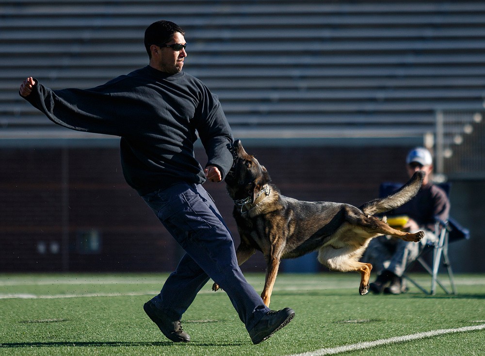 K9 Competition Chattanooga Times Free Press