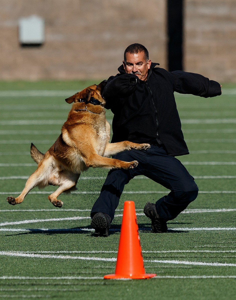 K9 Competition Chattanooga Times Free Press