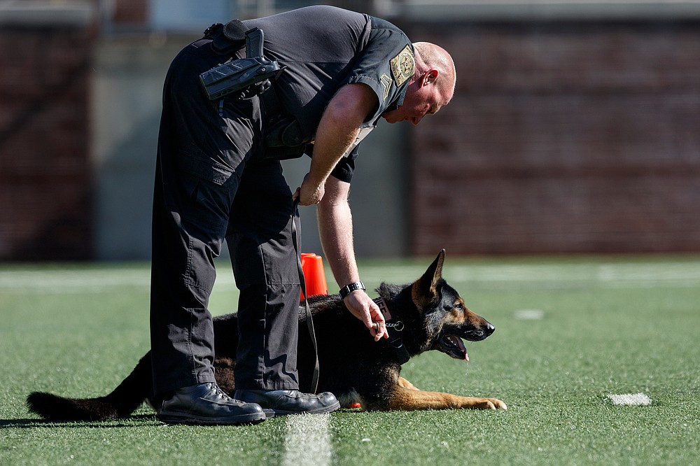 K9 Competition Chattanooga Times Free Press