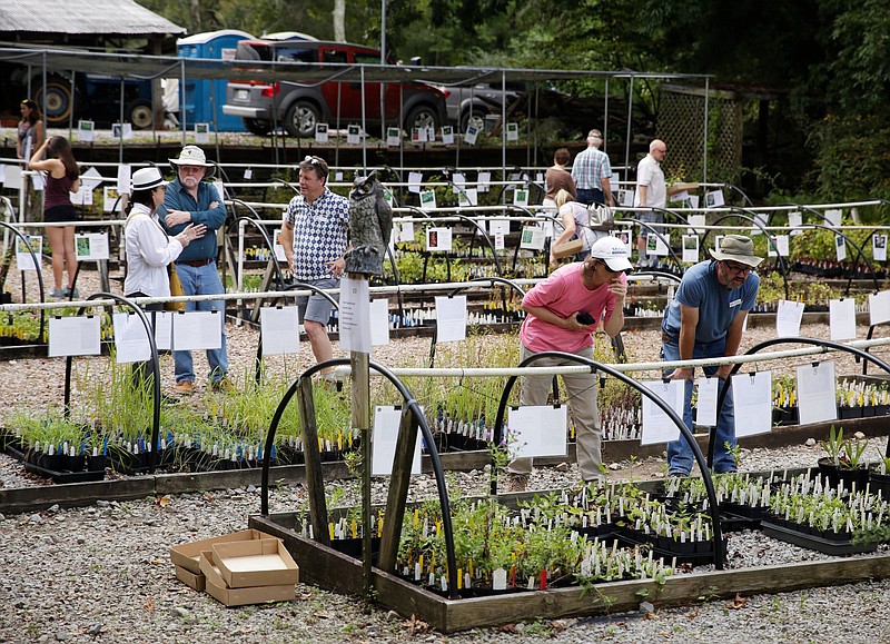 People browse rows of plants at Reflection Riding Arboretum and Nature Center's 2018 native plant sale. The 33rd annual plant sale will be held Friday-Saturday, April 19-20.