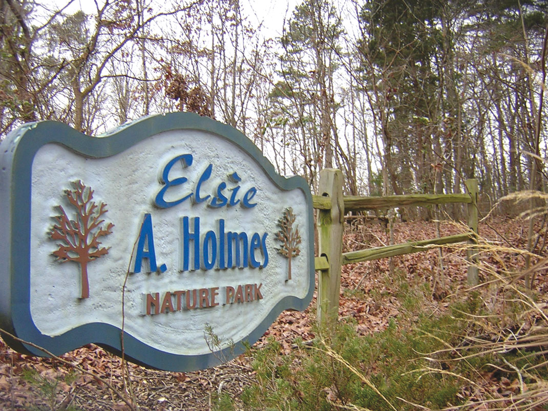 Elsie A. Holmes Nature Park / File photo