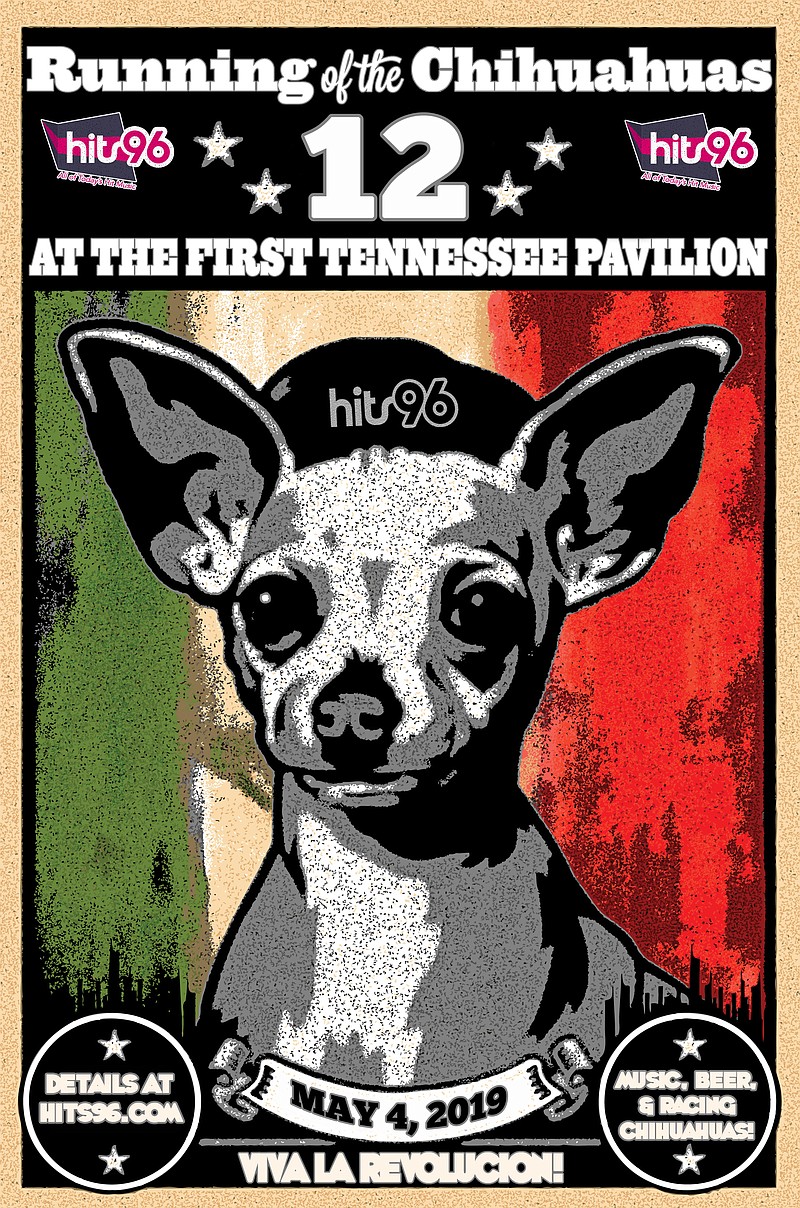 Running of the Chihuahuas poster