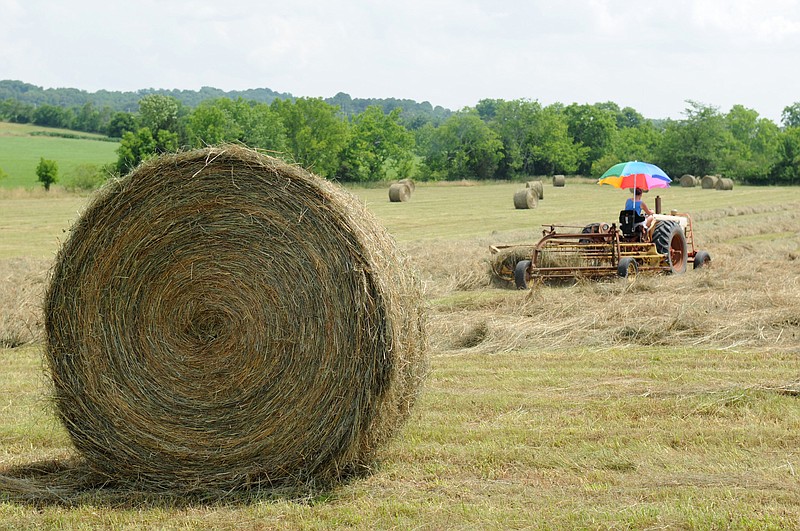 Yolanda Allen cuts hay at Hardwick Farm, off North Lee Highway in Cleveland, Tenn, in this file photo.  The historic farm has been added to the National Register of Historic Places.  