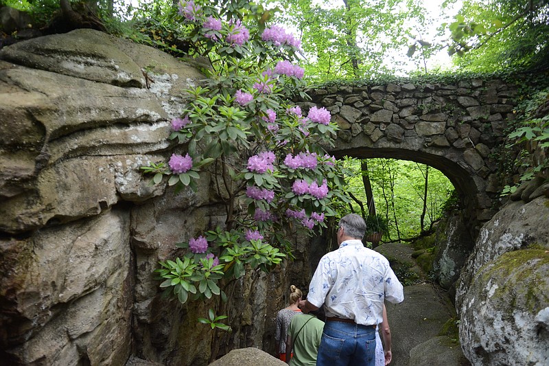 Rhododendrons bloom around walkways in Rock City during the Southern Blooms Festival.