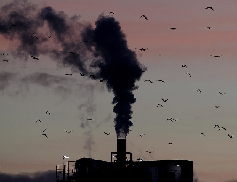FILE - In this Dec. 4, 2018, file photo, birds fly past a smoking chimney in Ludwigshafen, Germany. Development that s led to loss of habitat, climate change, overfishing, pollution and invasive species is causing a biodiversity crisis, scientists say in a new United Nations science report released Monday, May 6, 2019. (AP Photo/Michael Probst, File)

