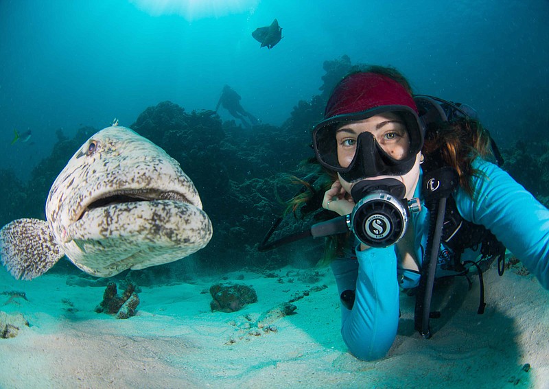 Underwater cinematographer Jemma Craig takes a selfie with a giant cod. Craig will be at the Tennessee Aquarium Imax Theater for tonight's premiere of "Great Barrier Reef 3D." / December Media Photo