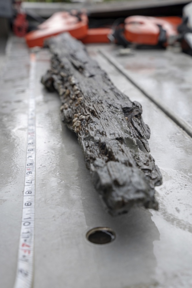 In this undated image released by SEARCH Inc. in May 2019, archaeologists examine a loose piece of the wrecked Gulf schooner Clotilda, in delta waters north of Mobile Bay, Ala. The old wooden ship hull didn't look like much when researchers first saw it: just broken, waterlogged boards and a few pieces of rusted metal, all stuck in the muddy bottom of a bug-infested Alabama bayou where an alligator and poisonous water moccasins swam nearby. (Daniel Fiore/SEARCH, Inc. via AP)