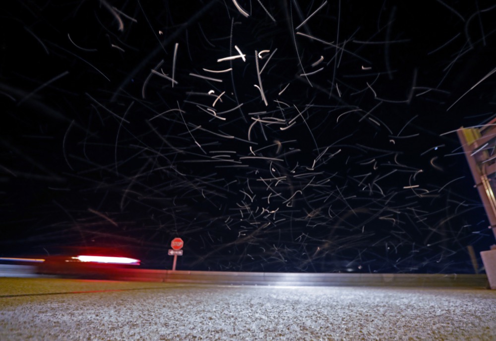 In this time exposure of 1/10 second, a swarm of blind mosquitoes, or aquatic midges, is seen as traffic drives on the Causeway Bridge, with dead ones on the pavement, over Lake Pontchartrain, in Jefferson Parish, outside New Orleans, Tuesday, June 18, 2019. Billions of mosquito lookalikes are showing up in the New Orleans area, blanketing car windshields, littering the ground with bodies and even scaring some folks. They're aquatic midges, also called