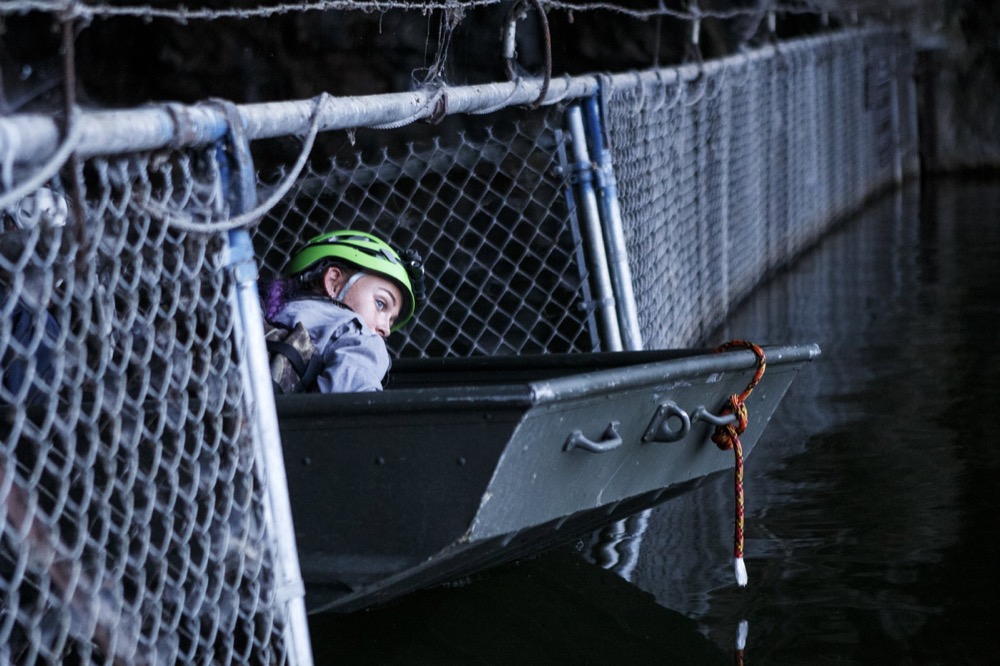 TWRA intern Janzen Velba ducks under the fence as she exits Nickajack Cave on Wednesday, June 19, 2019 in Marion County, Tenn. Velba was among a crew to help count gray bats as they exited the cave. Gray bats are federally endangered and afforded protection under the Endangered Species Act.