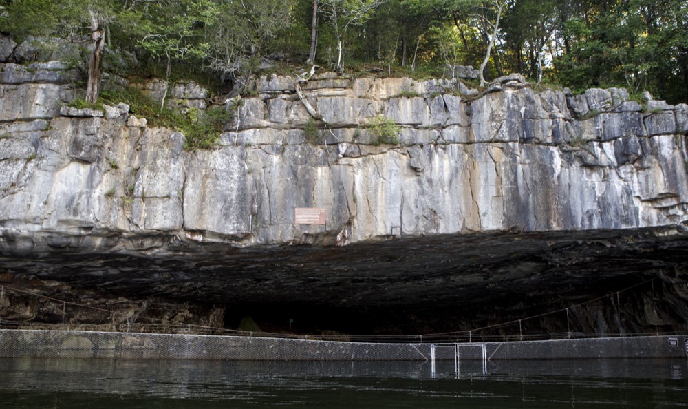 Staff photo by C.B. Schmelter /
Nickajack Cave is seen on Wednesday, June 19, 2019 in Marion County, Tenn.