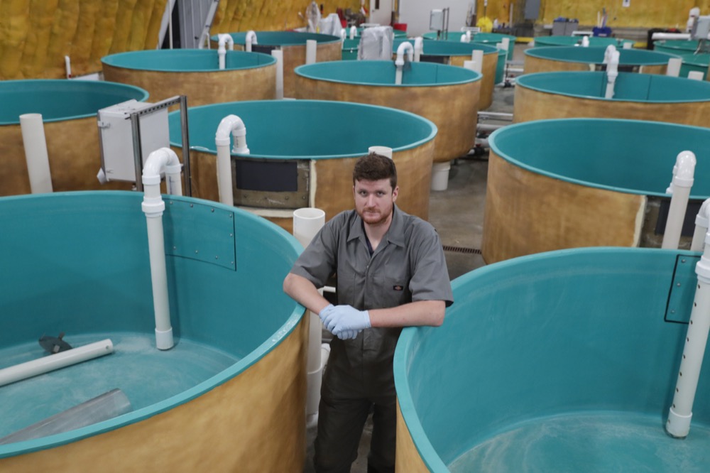 Peter Bowyer, the facility manager at AquaBounty Technologies, poses in the facilities nursery tank building in Albany, Ind., Wednesday, June 19, 2019. AquaBounty will be producing the first genetically modified animals approved for human food in the U.S. and one way companies are pushing to transform plants and animals, as consumer advocacy groups call for greater caution. (AP Photo/Michael Conroy)