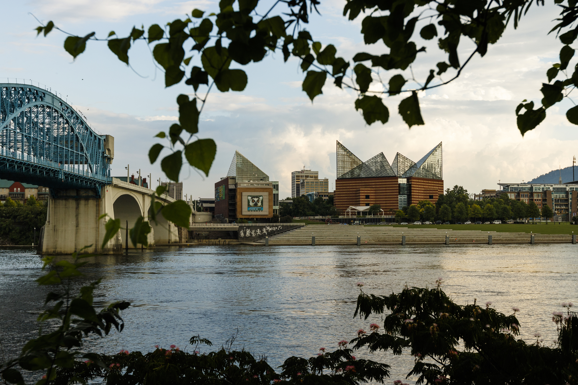 The Tennessee Aquarium and 21st century waterfront are seen on Tuesday, July 18, 2017.