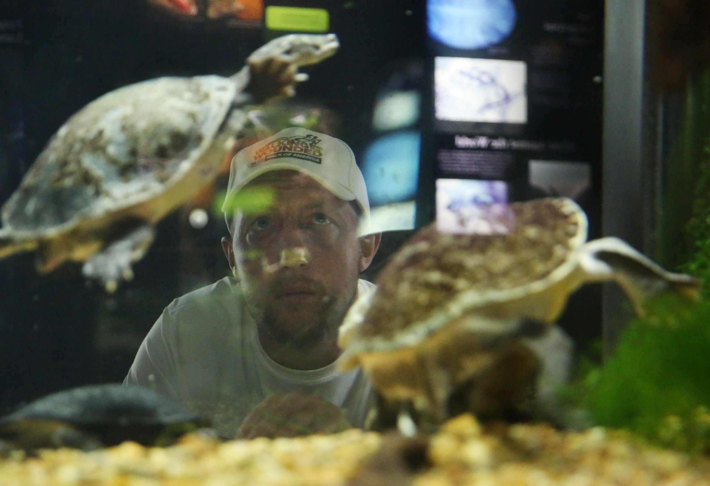 Kev Carr takes a close look at a snake-neck turtle at the Tennessee Aquarium Tuesday, July 31, 2018.