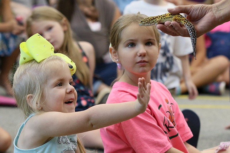 Ember Corbett, 4, waves at a leopard gecko as Autumn Corbett, 9, takes a look at the gecko at the Catoosa County Library Tuesday, July 2, 2019 in Ringgold, Georgia. Tennessee Aquarium outreach coordinator Bill Haley brought several animals for the children to check out.