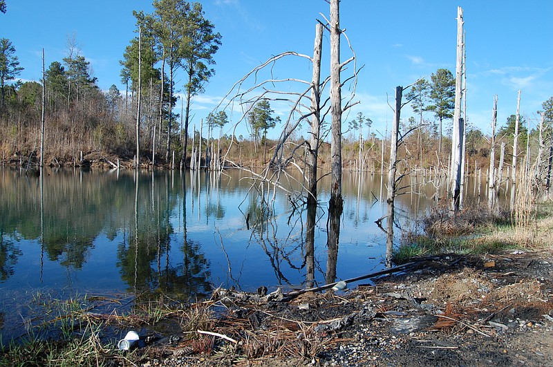 Old coal mining pits near Fabius, Ala. have morphed into ponds. / Staff Photo By Tim Omarzu