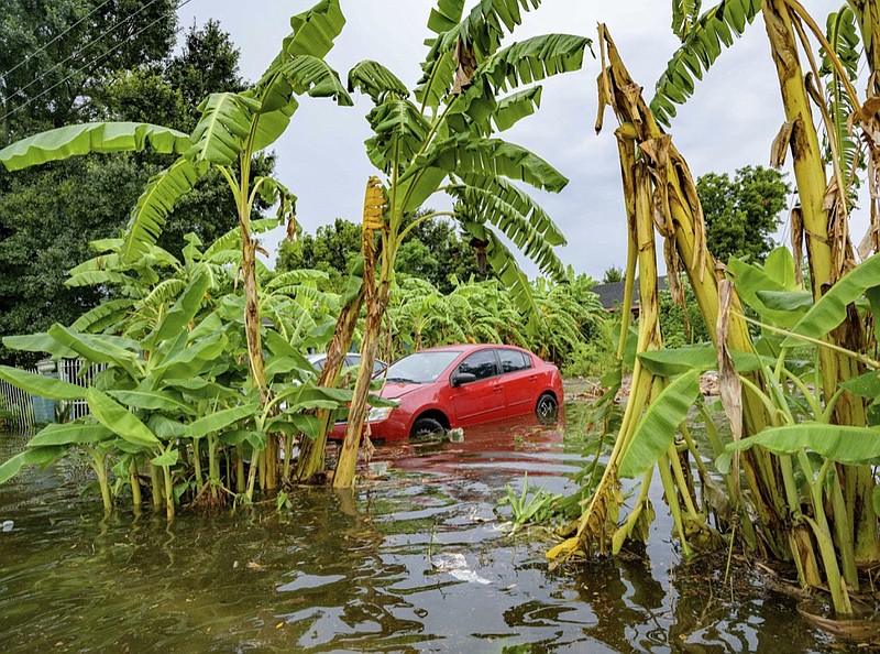 Flooding comes up the wheels of a parked car on Belfast Street near Eagle Street in New Orleans Wednesday, July 10, 2019 after flooding from a 100-year storm from a tropical wave system in the Gulf Mexico dumped lots of rain. The wave system may form into a hurricane called Barry later in the week. (AP Photo/Matthew Hinton)