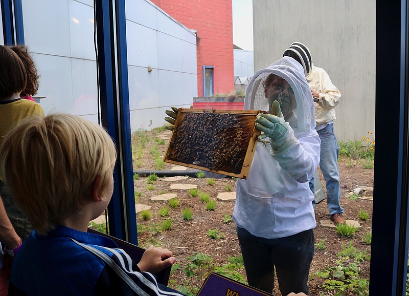 Beekeeper Phyllis Reed shows young visitors a honeycomb swarming with bees. / Creative Discovery Museum Contributed Photo