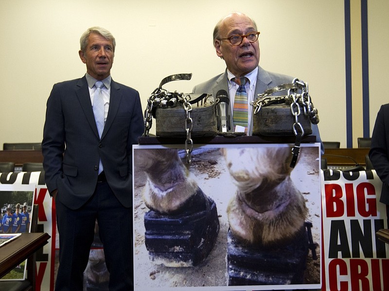 Rep. Steve Cohen, D-Tenn., accompanied by Rep. Kurt Schrader D-OR., speaks during a news conference, ahead of a House vote on a bill that would prevent Soring in training Tennessee Walking horses on Capitol Hill in Washington, Wednesday, July 24, 2019. (AP Photo/Jose Luis Magana)
