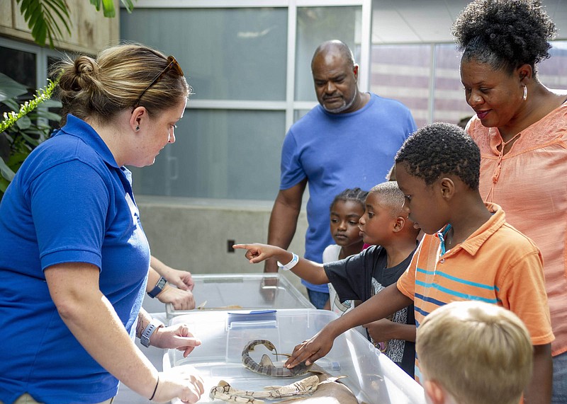 Tennessee Aquarium visitors can check out hands-on exhibits about sharks.