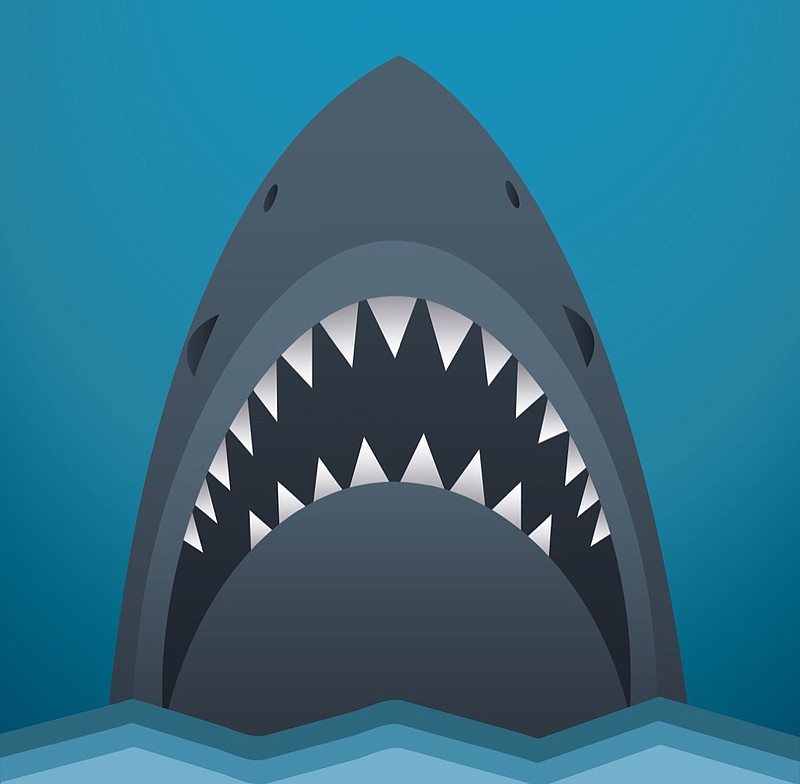 Shark icon vector illustration shark tile jaws movie / Getty Images
