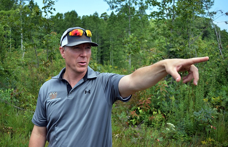 Mark Pace/Chattanooga Times Free Press — 08/06/19. Tennessee Wildlife Federation Director of Conservation Chris Roberts points to an area in the Savage Gulf State Natural Area that has been cleared for a prescribed burn scheduled for Spring 2020. Work is being done to restore Cumberland Plateau natural areas.