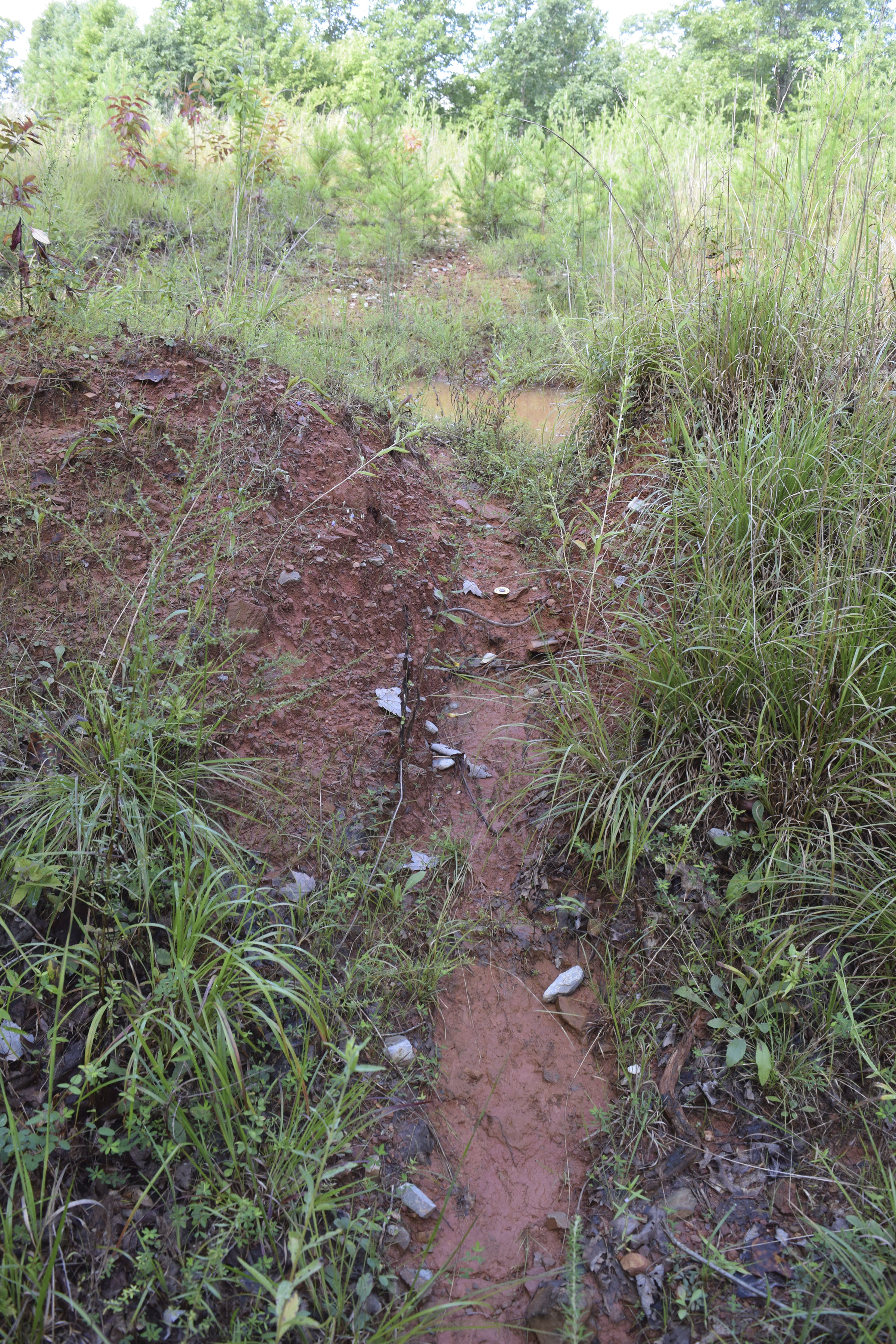 The U.S. Forest Service in 2014 mistakenly built at least 32 earthen berms, some of them with deep pits called "tank traps" behind them, intended to block access to the trail. This is a photo taken Aug. 14, 2019, of one of the berm/trap formations encountered on the trail showing some erosion from the overflowing tank trap on the other side of the berm.