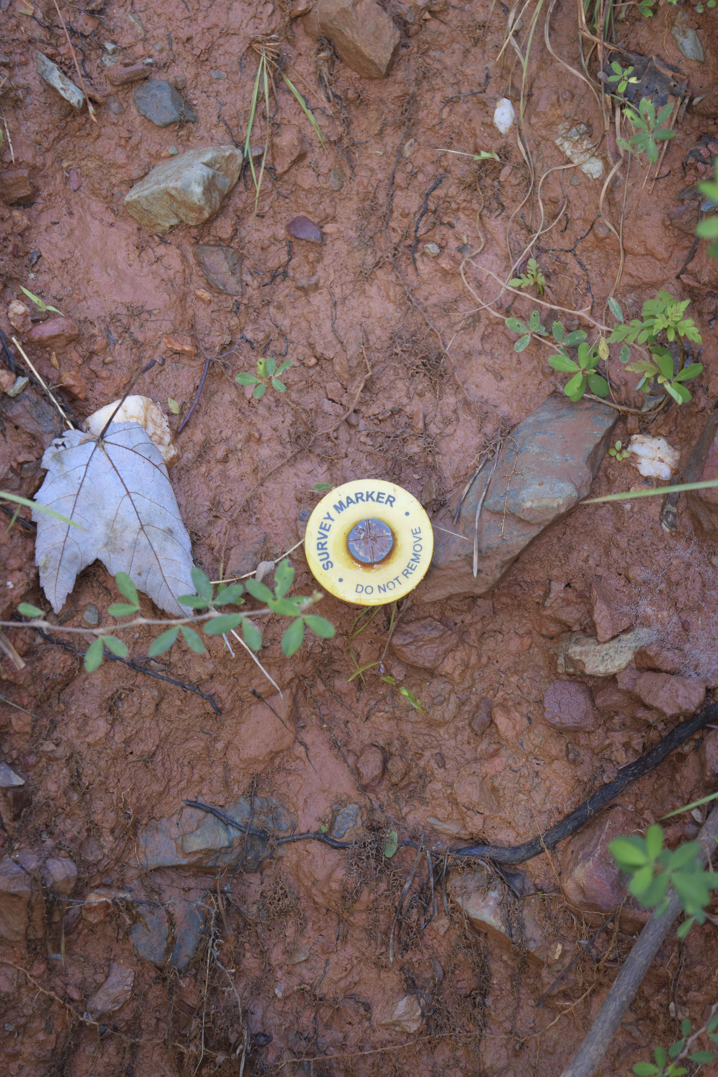 The U.S. Forest Service in 2014 mistakenly built at least 32 earthen berms, some of them with deep pits called "tank traps" behind them, intended to block access to the trail. This is a photo taken Aug. 14, 2019, of a survey marker installed around 2014 at the time of the construction of the berms.