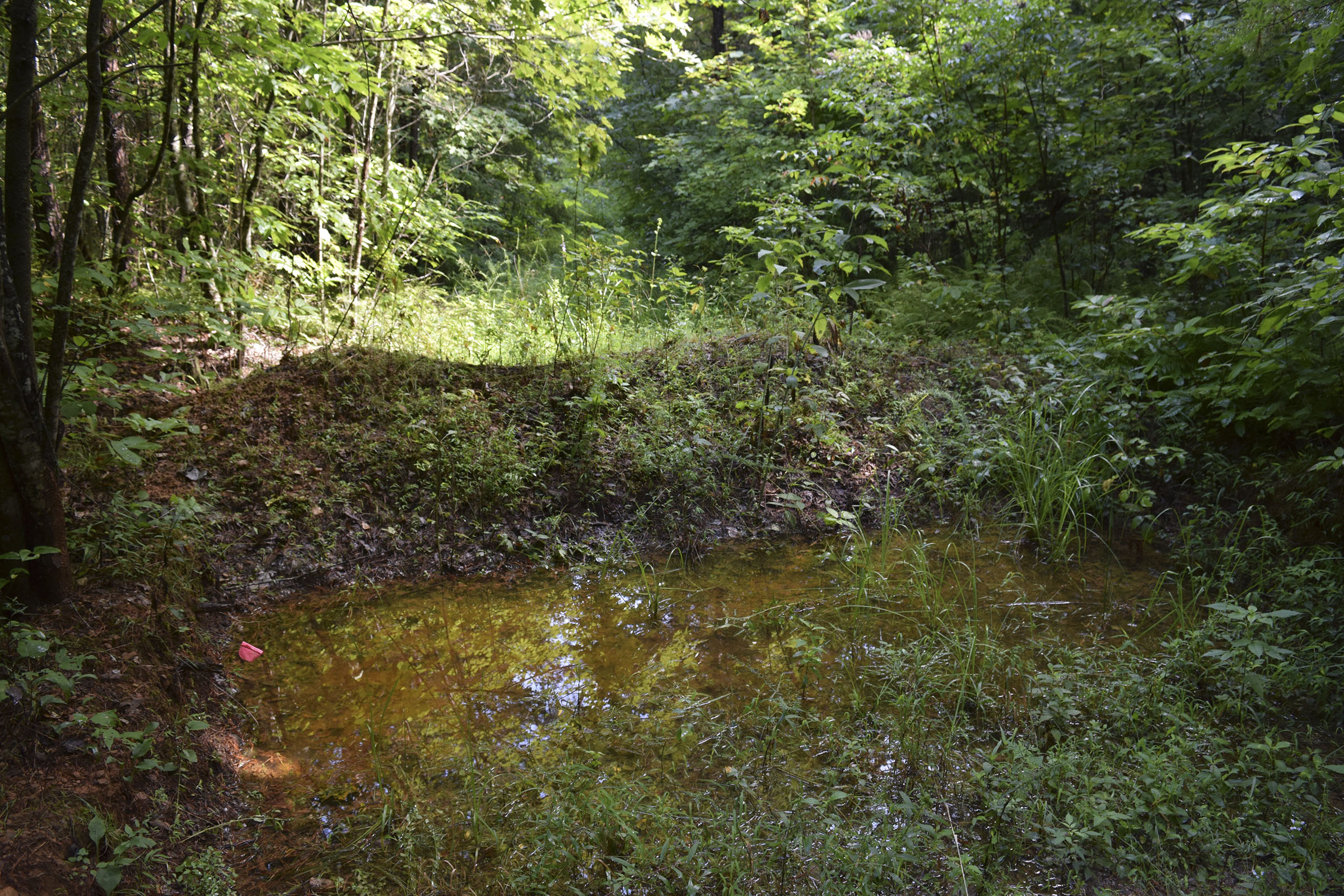 The U.S. Forest Service in 2014 mistakenly built at least 32 earthen berms, some of them with deep pits called "tank traps" behind them, intended to block access to the trail. This is a photo taken Aug. 14, 2019, of one of the berm/trap formations built on the trail.
