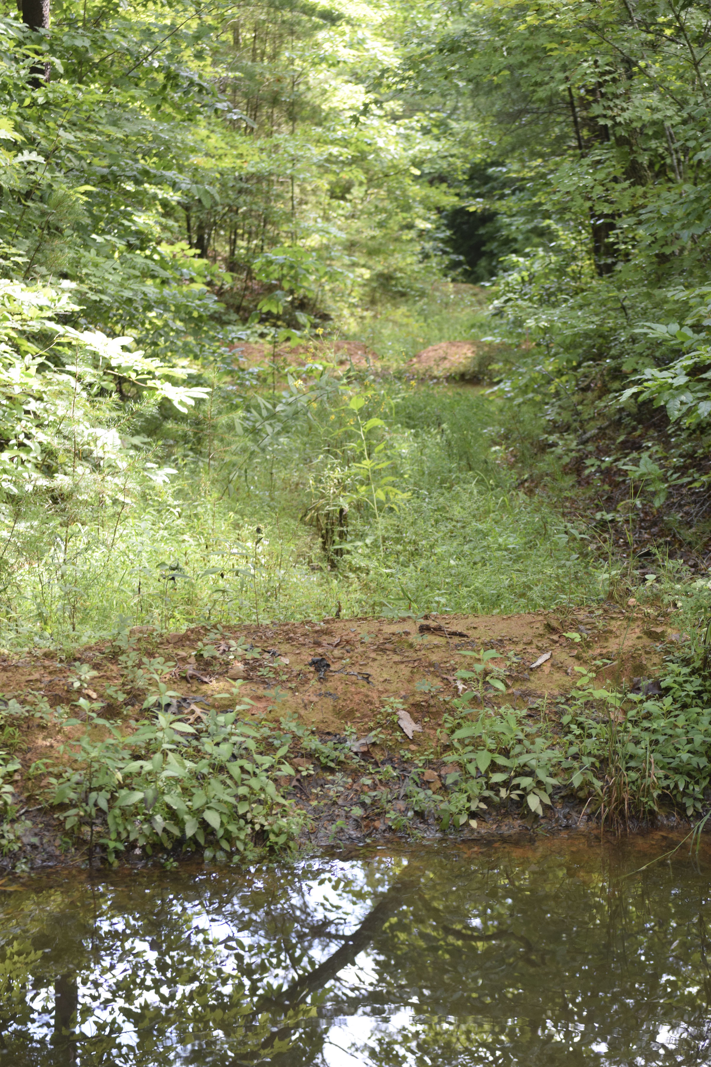 The U.S. Forest Service in 2014 mistakenly built at least 32 earthen berms, some of them with deep pits called "tank traps" behind them, intended to block access to the trail. This is a photo taken Aug. 14, 2019, of one of the berm/trap formations built on the trail. The trap is filled with water. Two other berms are visible in the background.