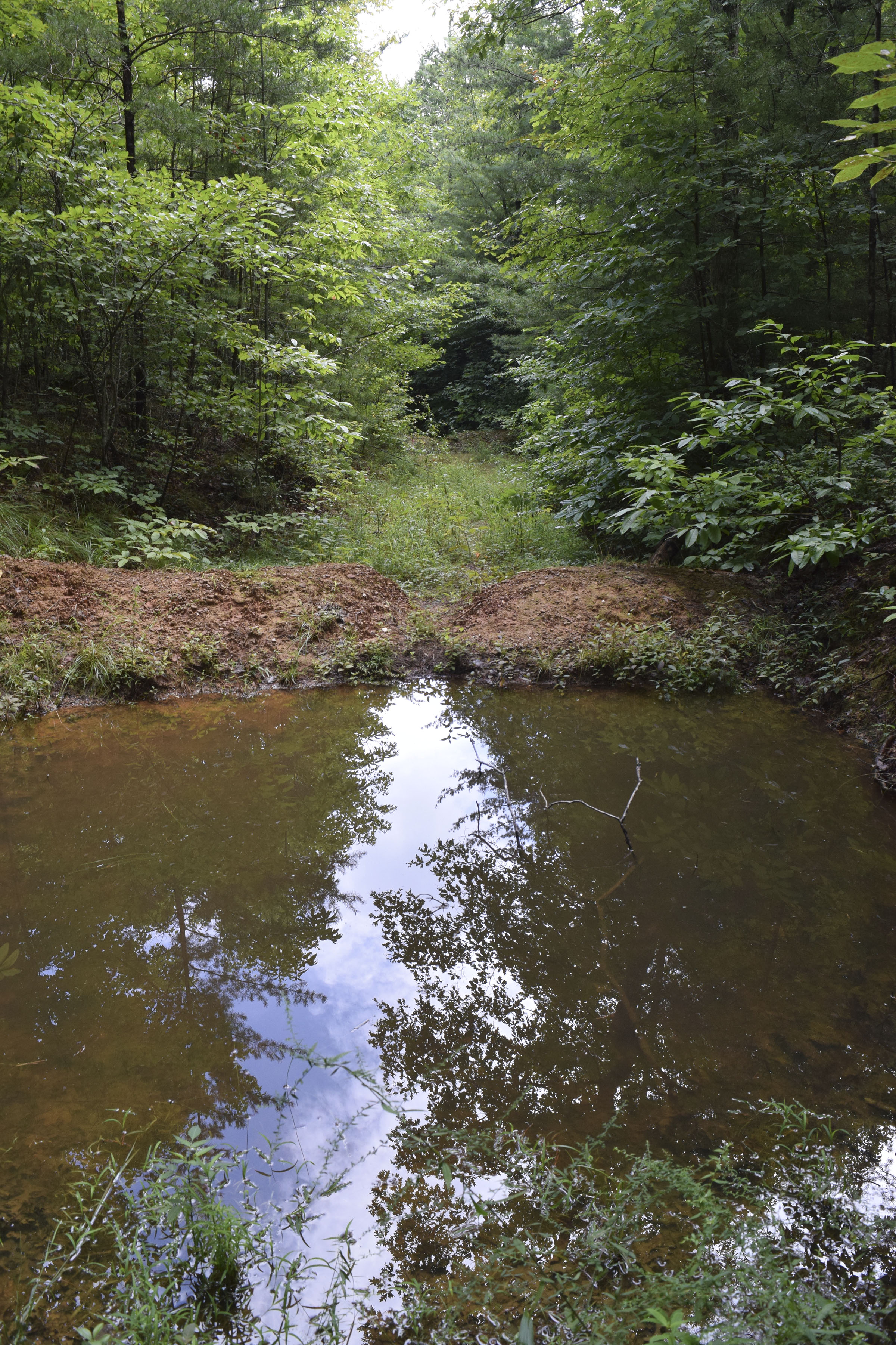 The U.S. Forest Service in 2014 mistakenly built at least 32 earthen berms, some of them with deep pits called "tank traps" behind them, intended to block access to the trail. This is a photo taken Aug. 14, 2019, of one of the berm/trap formations built on the trail. The trap is filled with water.